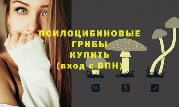 дурь Алексеевка