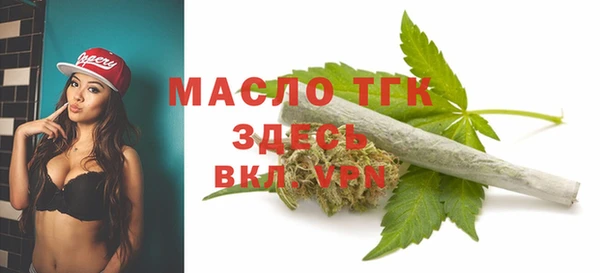 мяу мяу кристалл Корсаков