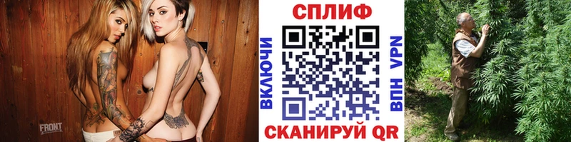 Конопля White Widow  Грозный 